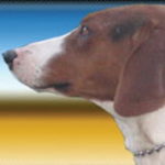 Kinolosko drustvo jastrebac